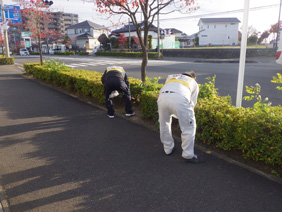 アイラブロード活動令和7年11月_1